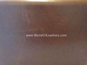 The Ultimate Guide to Clean Mold From Leather - LeatherNeo